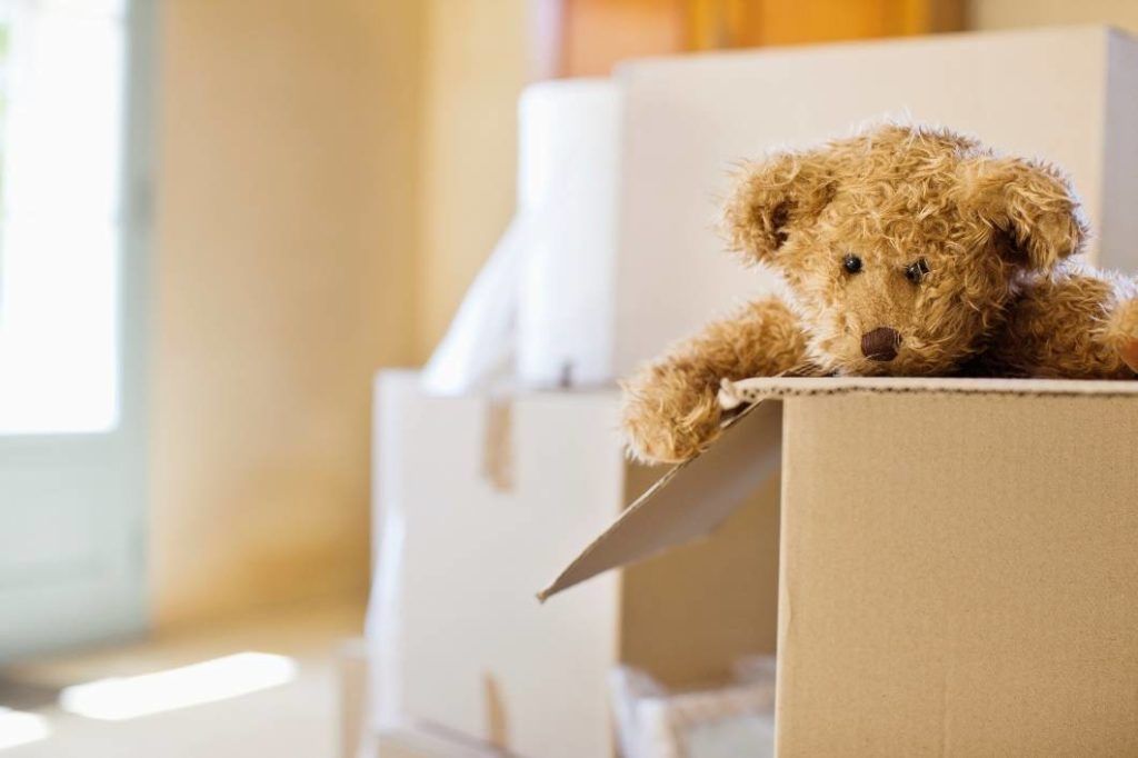 A teddy bear in a box after moving house