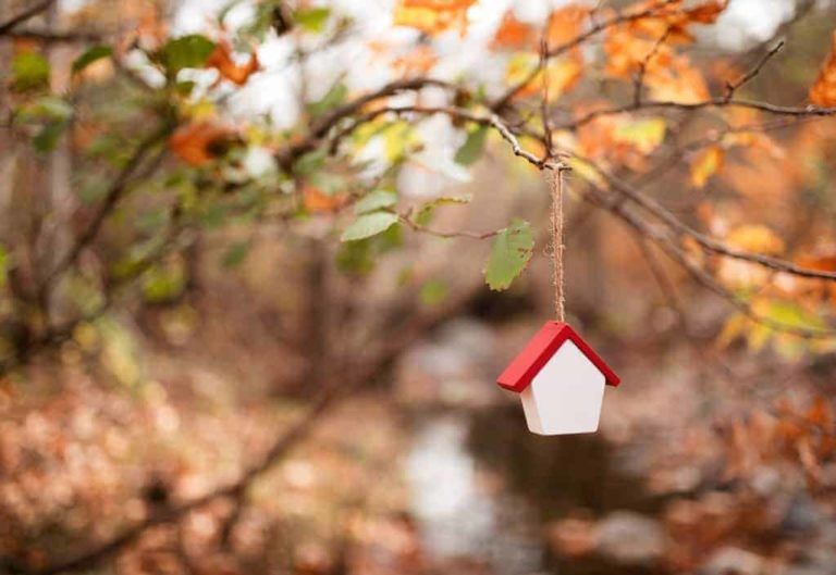 A house shaped ornament hangs from the branch of a tree
